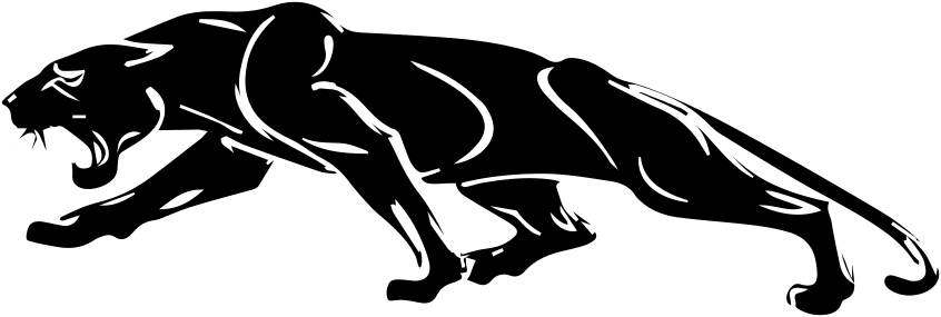 No Limits Security panther logo